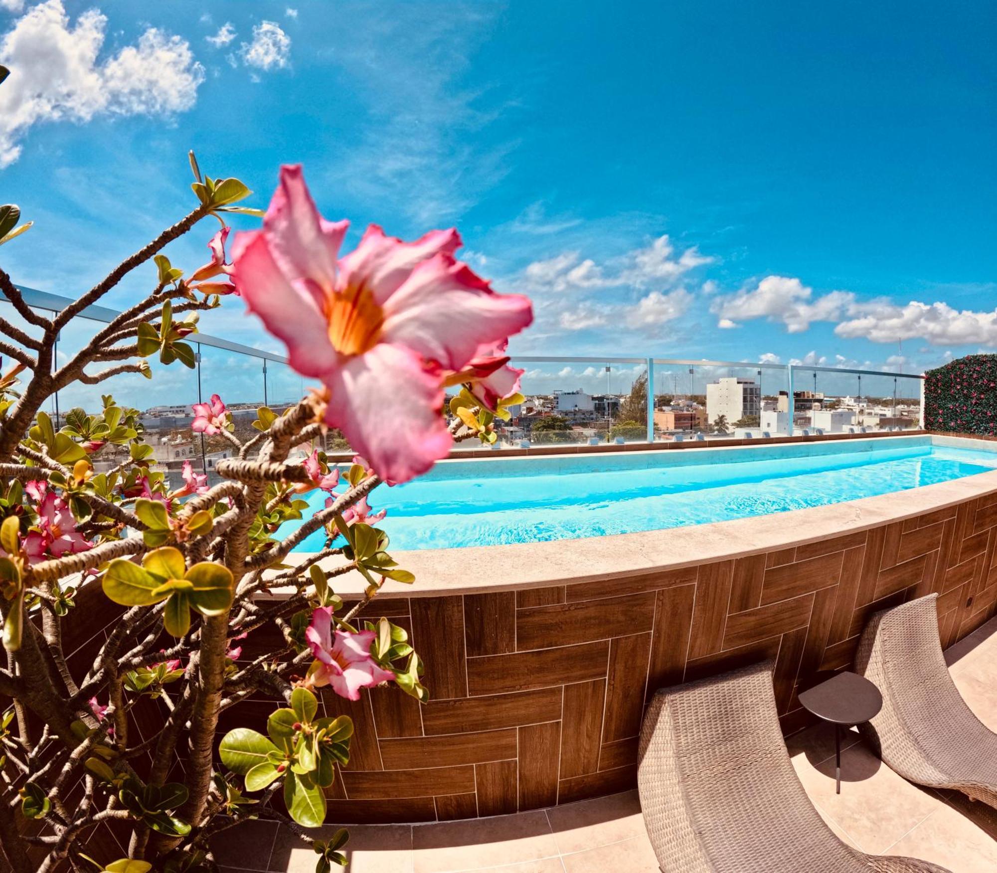 Studios With Roofpool In Vanessa 24 Playa del Carmen Exterior photo